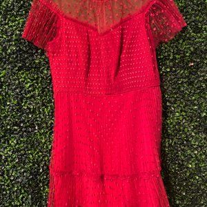 NEW! ML Monique Lhuillier Heart Embroidered Tulle Mini Dress Size 10